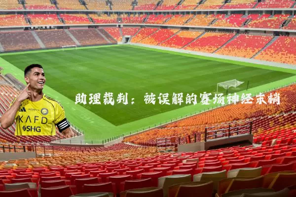 助理裁判：被误解的赛场神经末梢