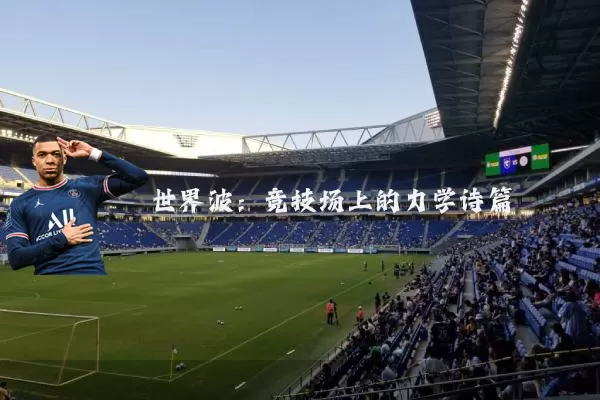 世界波:竞技场上的力学诗篇