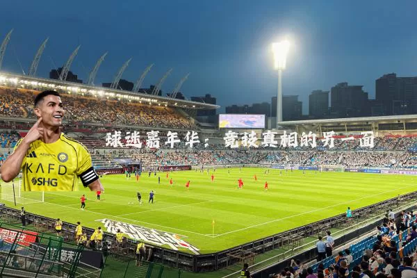 球迷嘉年华：竞技真相的另一面